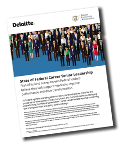 Senior Executive Service Leaders Survey Report