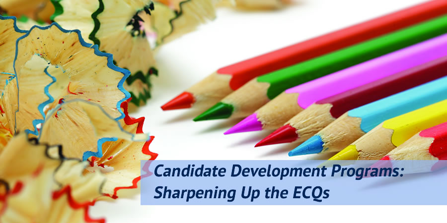 Sharpening your ECQs for the SES Candidate Development Program