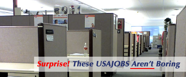 USAJobs That Are Not Boring